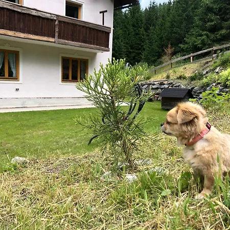 Dom wakacyjny Sophia & Ilse *