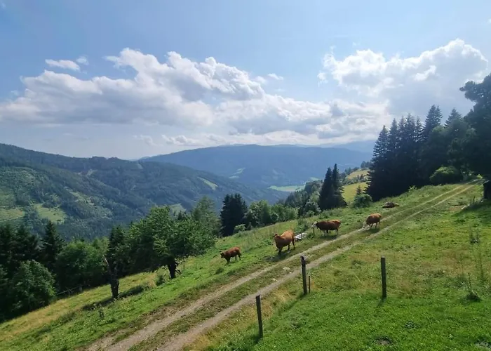 Sophia & Ilse 度假居