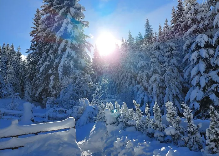 Sophia & Ilse 度假居