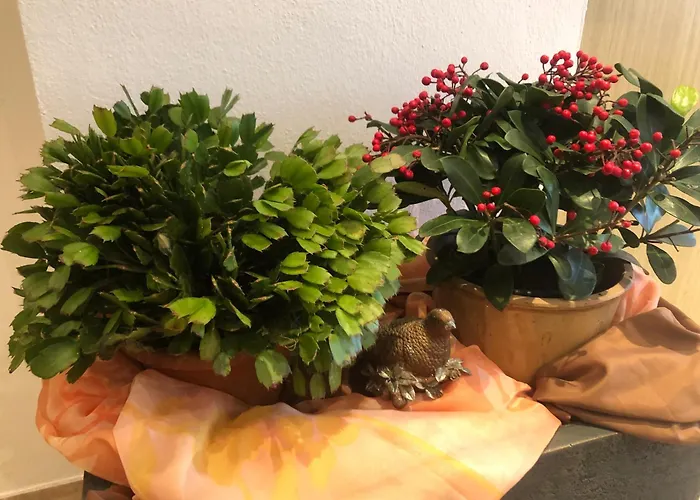 Sophia & Ilse 度假居 穆劳