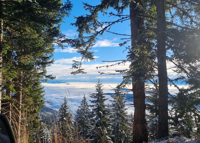 Sophia & Ilse 穆劳