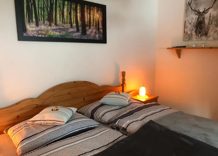 Sophia & Ilse 度假居 *